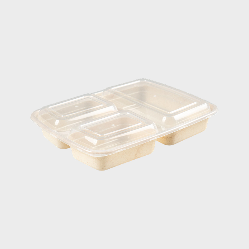 Cutie Bento cu trei compartimente PFK004/PFK003