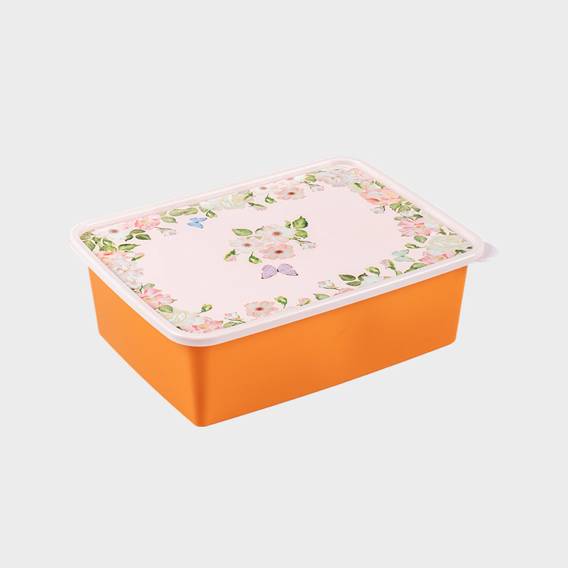Container pentru depozitare produse alimentare și agricole PFB021