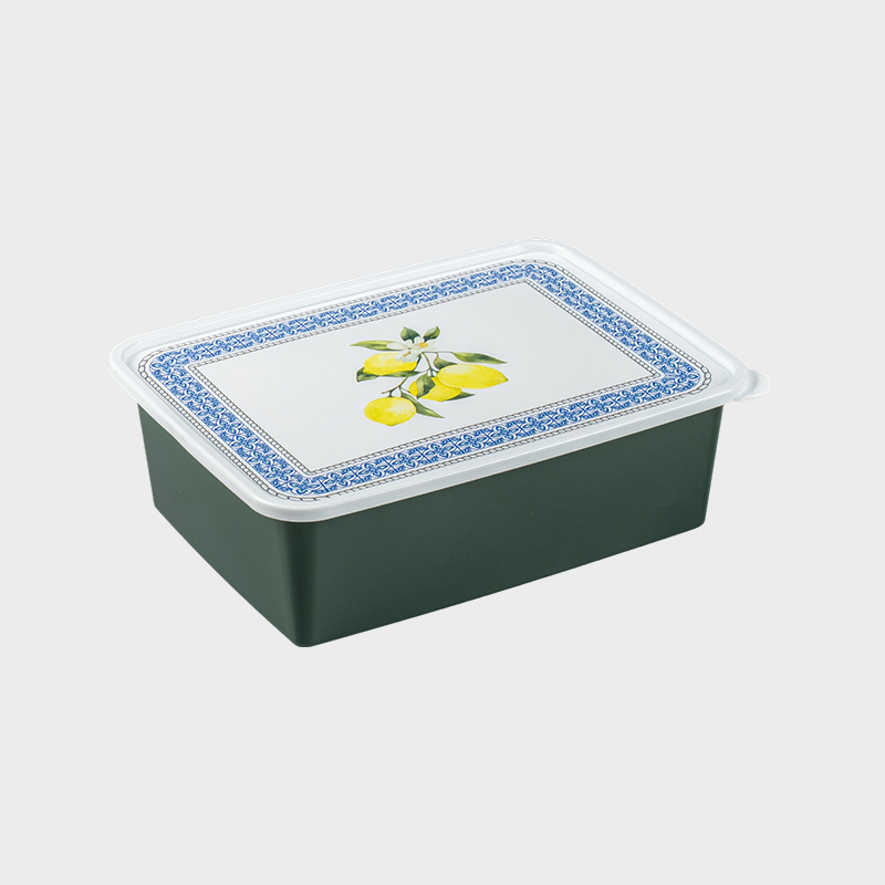 Container de depozitare produse alimentare și agricole PFB013