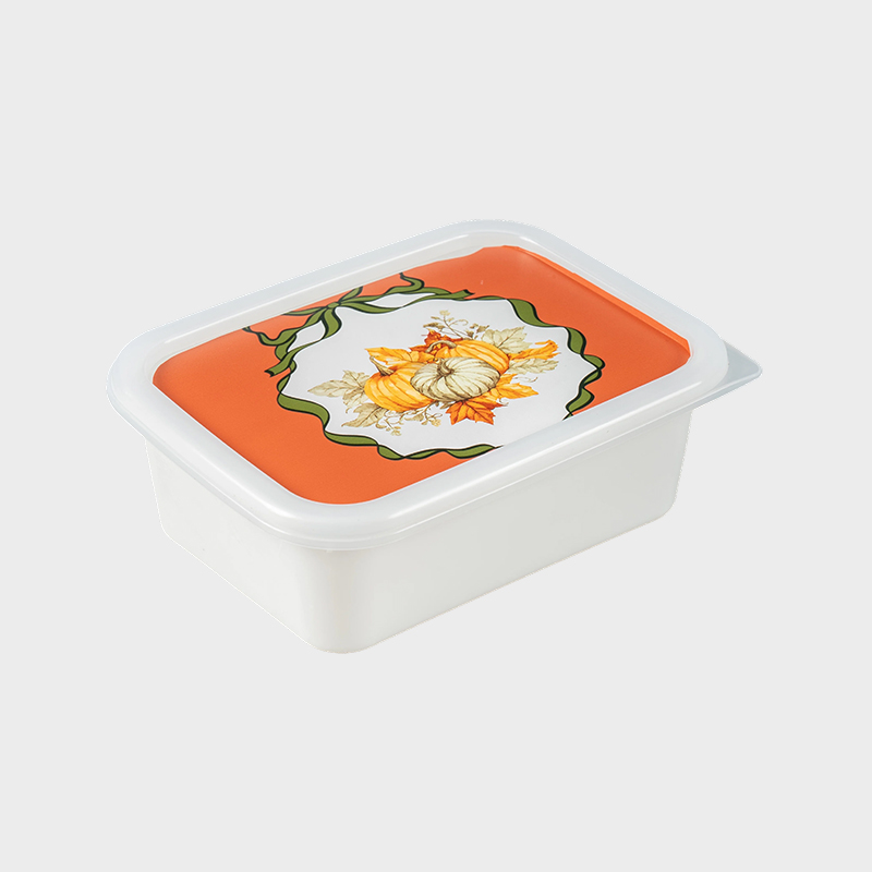 Cutie de depozitare din plastic PFB067