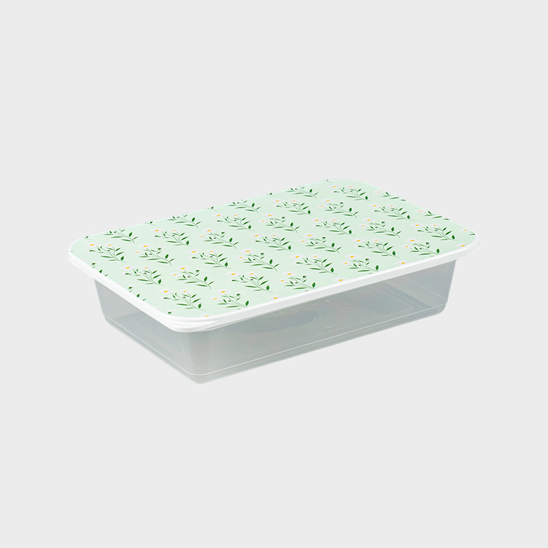 Container pentru depozitare produse alimentare și agricole PFB001